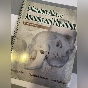 Anatomy atlas